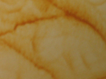 Antické zeminy florentské